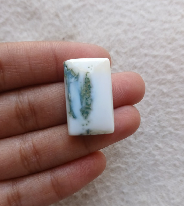 Natural Tree Agate Rectangle Cabochon 25x15x6mm Approx 21.20Cts AMJ712