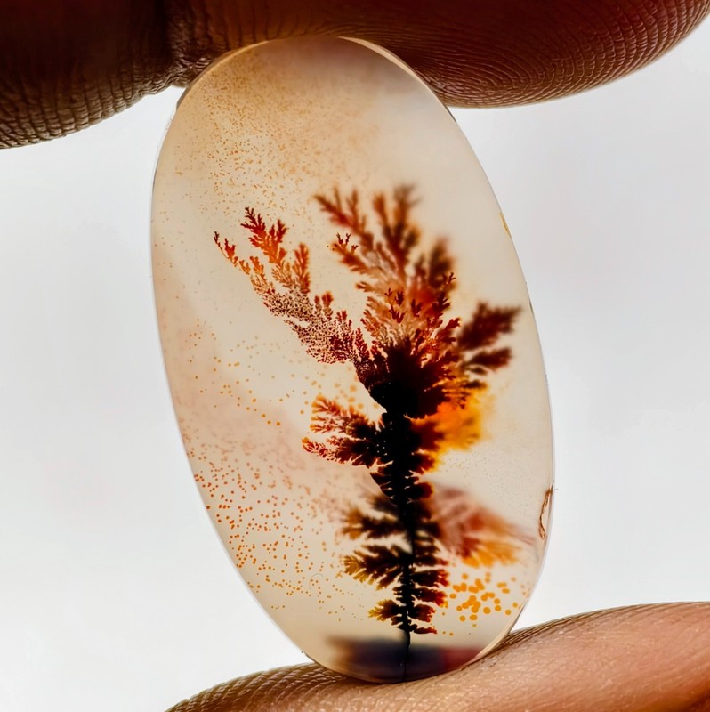 9 Cts Natural Shazar Dendritic Agate Cabochon Gemstone 27.2×15.3×2.1 MM