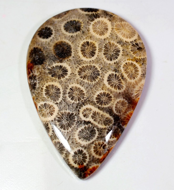 95 Ct 7X33X49 mm Natural Petoskey Fossil Coral Pear Cabochon Gemstone HV-319