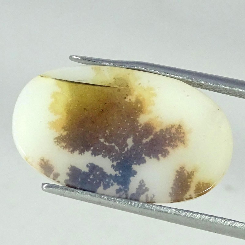 5.80Cts Superb Natural Shazar Dendritic Agate Oval Cabochon 13X22X2MM
