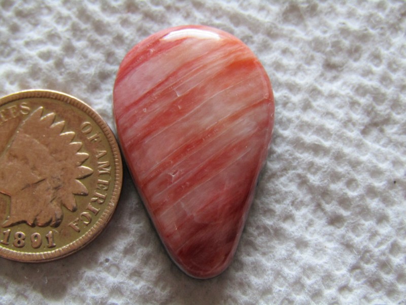 Spiny Oyster Shell 21 carat Orange Red Pink Purple Natural Cabochon