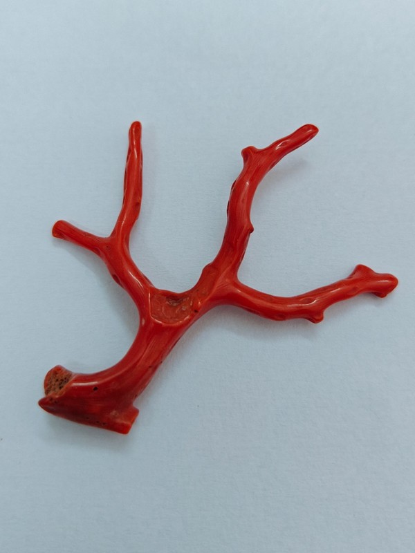 Vintage Natural Italian Red Coral Polished Branch Coral Specimen Jewelry Making