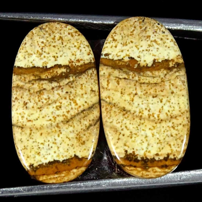 11.40Cts Natural Picture Jasper Cabochon Loose Gemstone Pair 11x20x3mm Oval