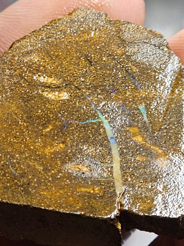 128cts Australian Boulder Rough opal Gamble stone gallery