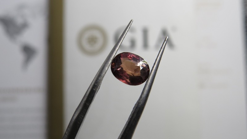 GIA Certified Unheated No-Heat Sapphire GIA Certified, Oval Red Orange Gem Ruby