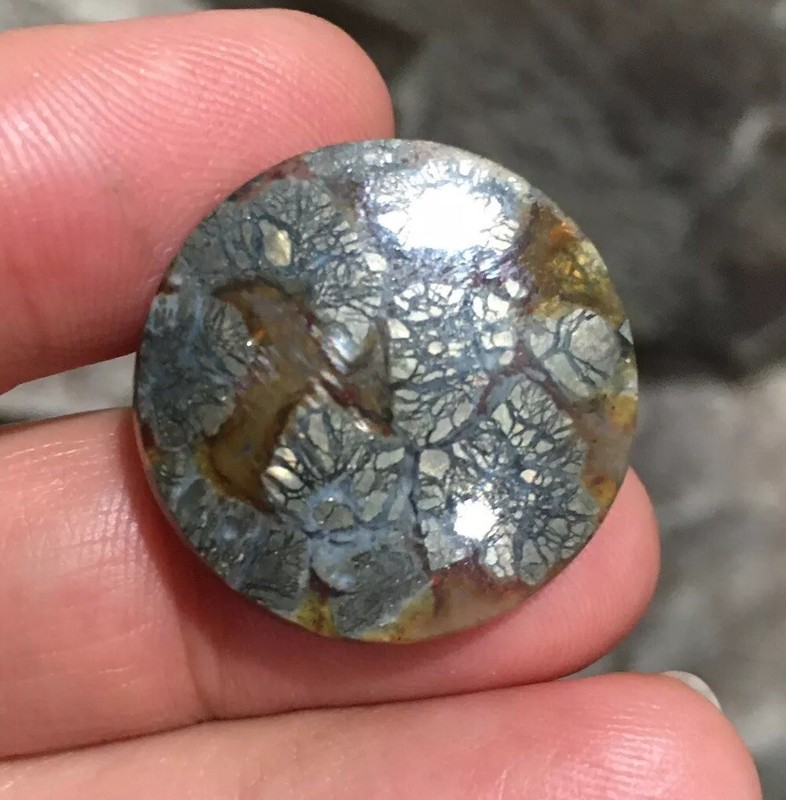 24.4x6mm Low Domed Natural Fern Marcasite Round Cabochon Loose Gemstone