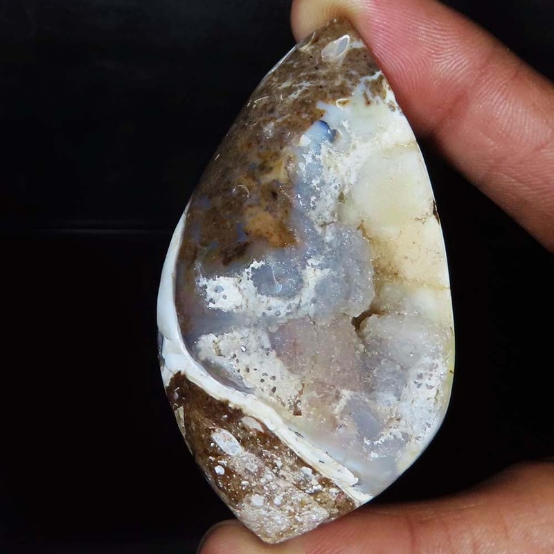 (35X65X21 MM) 257.40 Carat. NATURAL FOSSIL SNAIL DRUZY CABOCHON LOOSE GEMSTONE