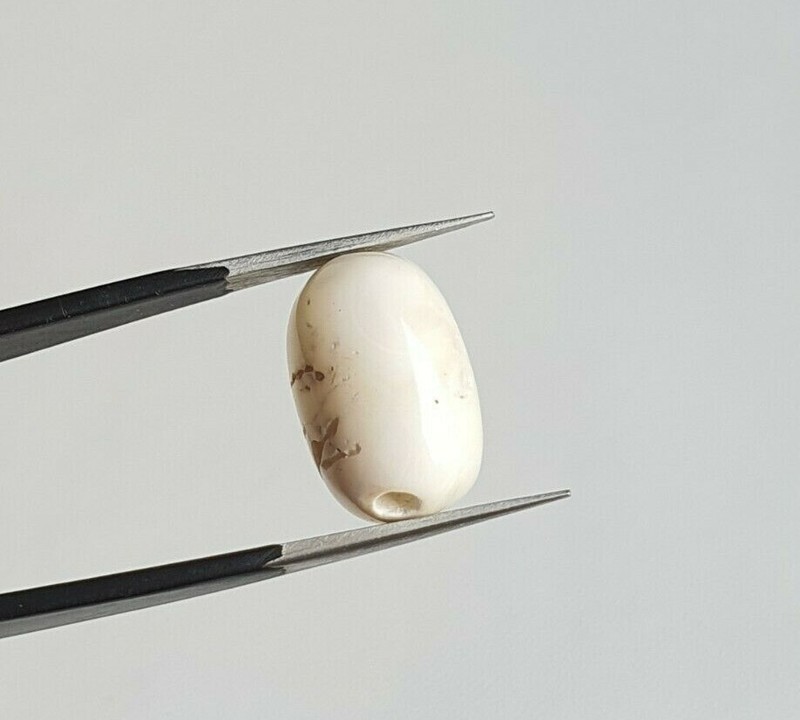 15X10X7'MM Flat Oval White Natural Japanese Mediterranean Coral Loose Cabochon. gallery