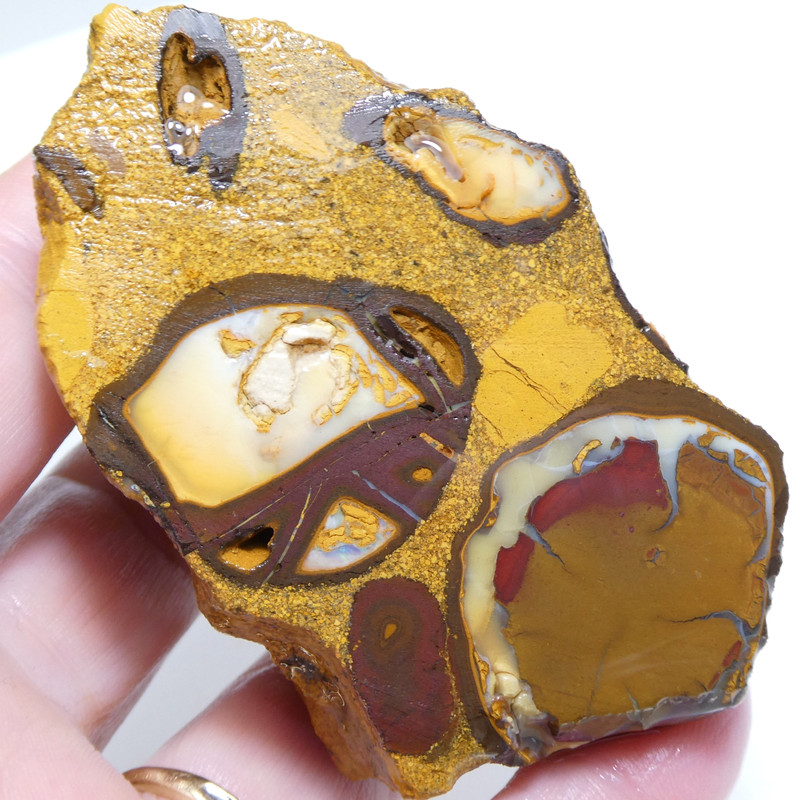 SUPERB 516 CT AUSTRALIAN BOULDER OPAL Rough Unpolished Specimen Video RAW gallery