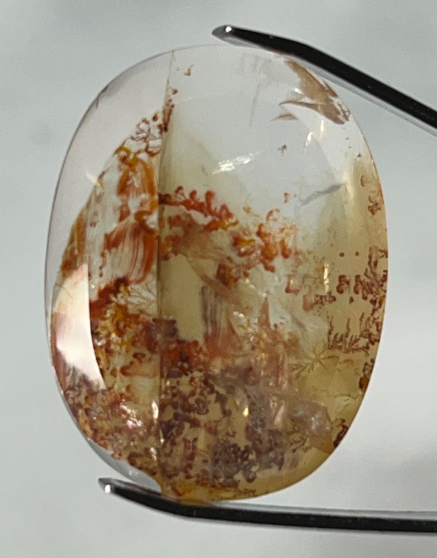 IPDI-1 Dendrite Quartz 33.70ct 30x22x6mm Oval, picture stone garden branches