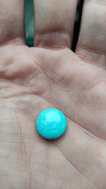 Genuine Sleeping Beauty Birds Eye Turquoise Round Coin 13 X 5 MM 5 CT gallery