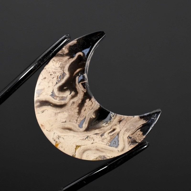 28mm Fossilized Palm Root Moon Cabochon, Intricate Fossil Palm Root Moon Cab, In