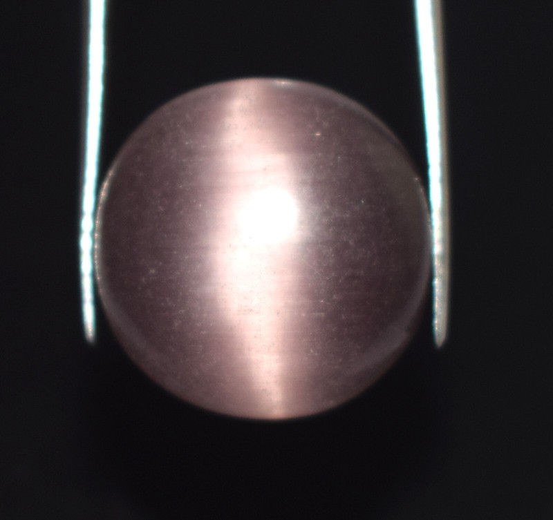 Natural 21.20 Carat Round Cabochon Purple Cat’s Eye Gemstone Certified C2936