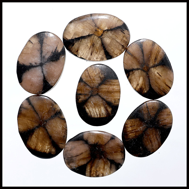 The Wayfinder Collection~ 7 PC Rare Chiastolite 23mm-25mm Oval Cabochon Gems Set