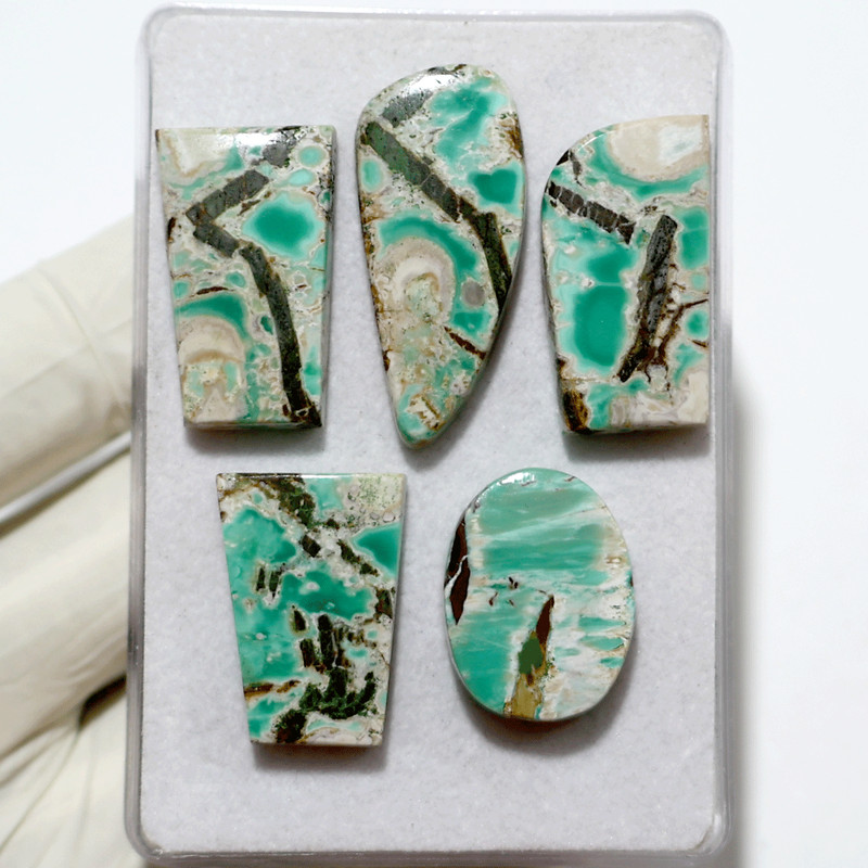 Earth’s Script~ 5 PC Australian Variscite AAA Quality 23-37mm Cabochon Gemstones
