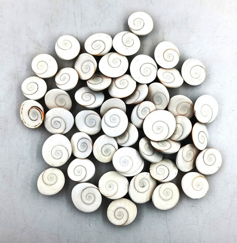 100Cts. 100% Natural Shiva Eye Cabochon Loose Gemstones (Approx 4-5Pcs) Lot gallery