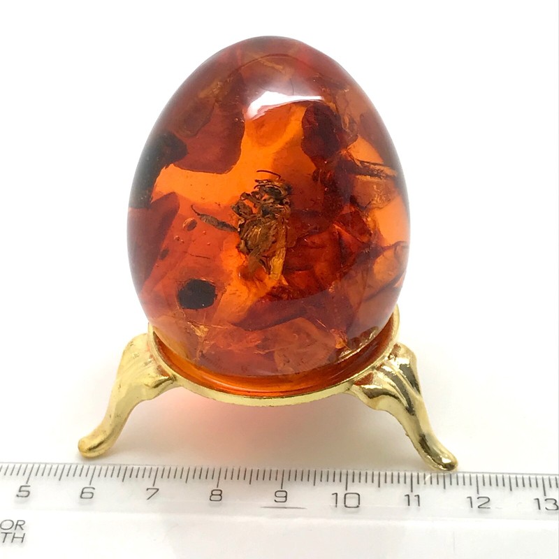 Spectacular Baltic amber egg with insect inclusion ± 55x45mm ±70grams