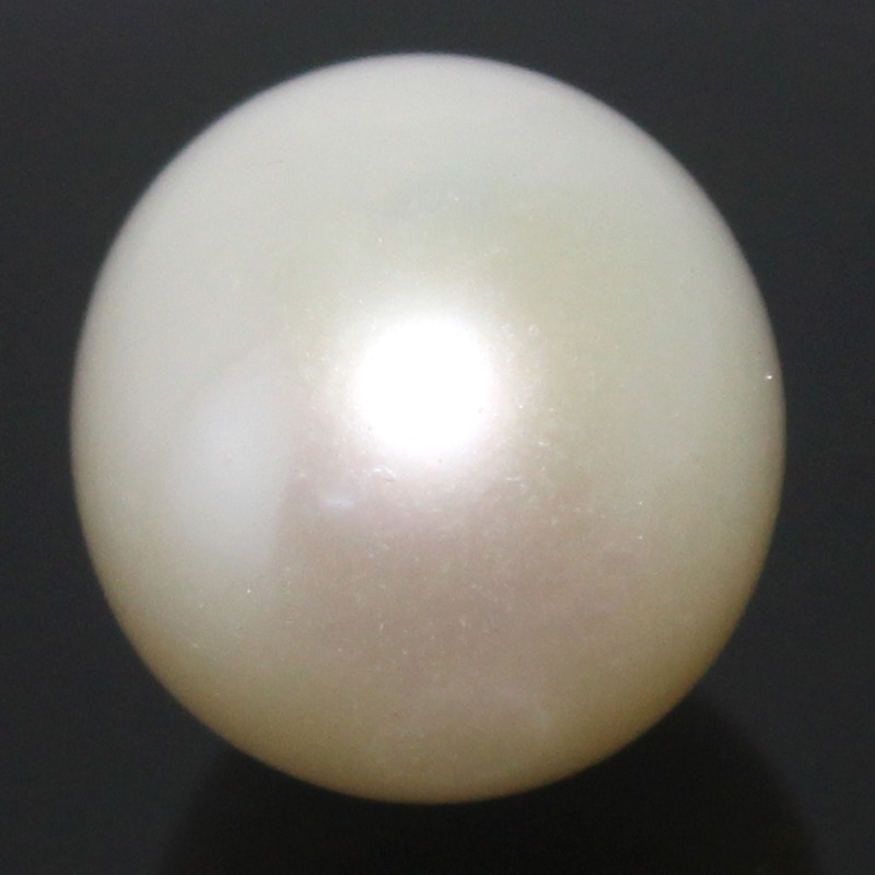Natural South Sea 8.45 Ct “Cook Islands” 12.00 MM Round Moon White Loose Pearl
