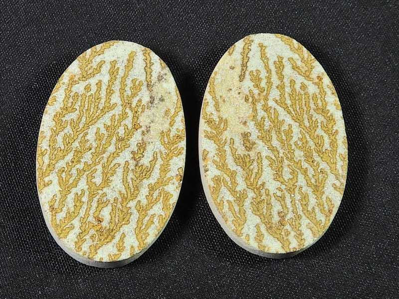 Natural Psilomelane Germane Dendrite pair Earring Making Stone 19X31X05 MM C183