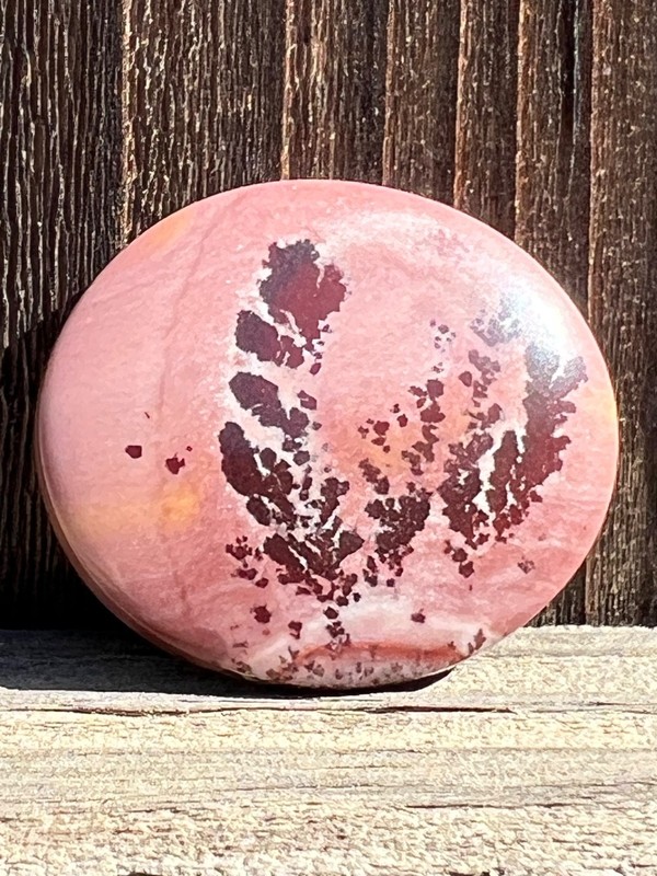 Apache Dendritic Sage Rhyolite Cabochon