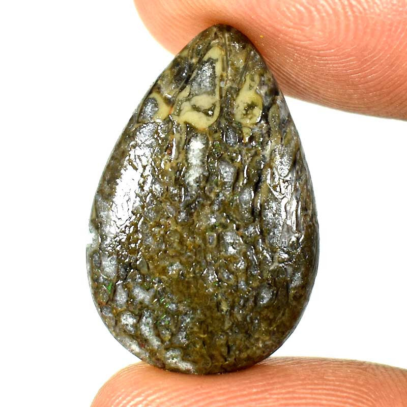 11.20Cts. 100% Natural Dinosaur Bone Pear Cabochon Gemstones