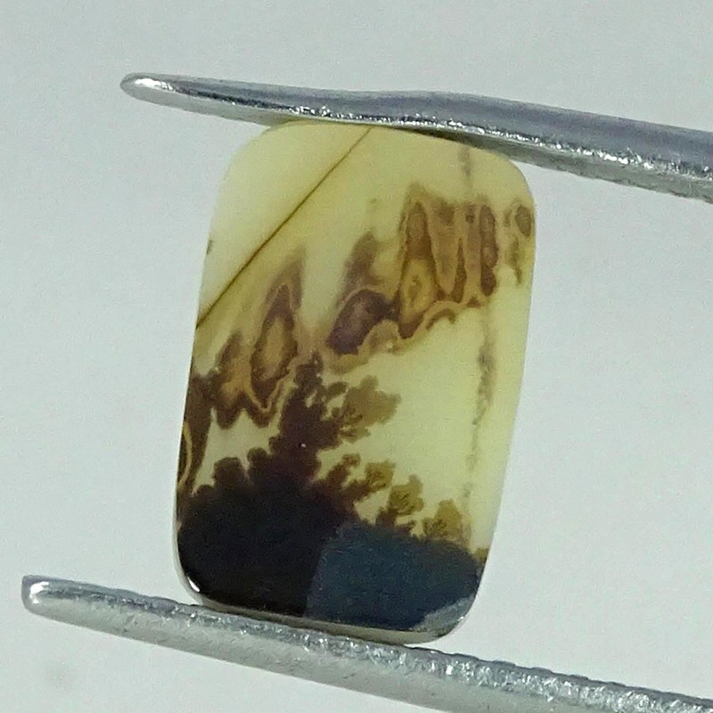 1.90Cts 100% Natural Shazar Dendritic Agate Cushion Cabochon 6X10X2MM