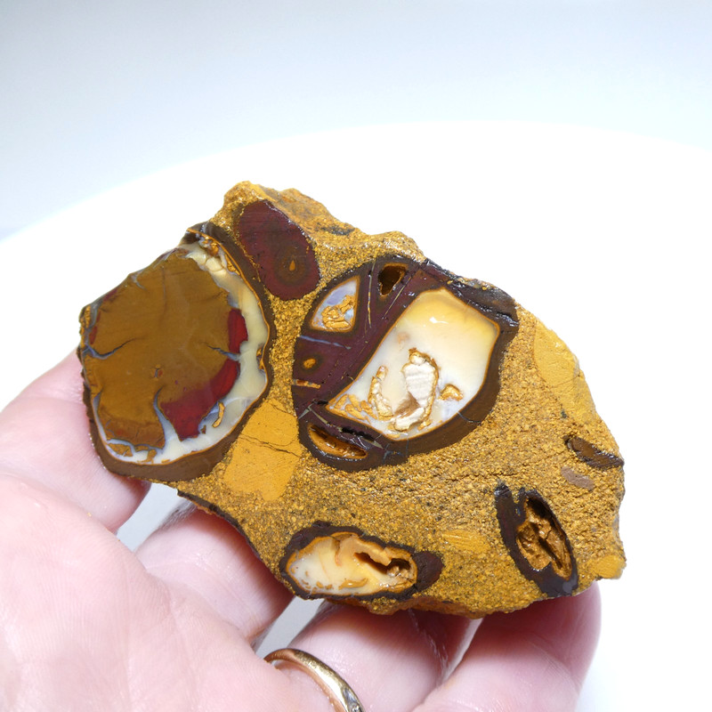SUPERB 516 CT AUSTRALIAN BOULDER OPAL Rough Unpolished Specimen Video RAW gallery
