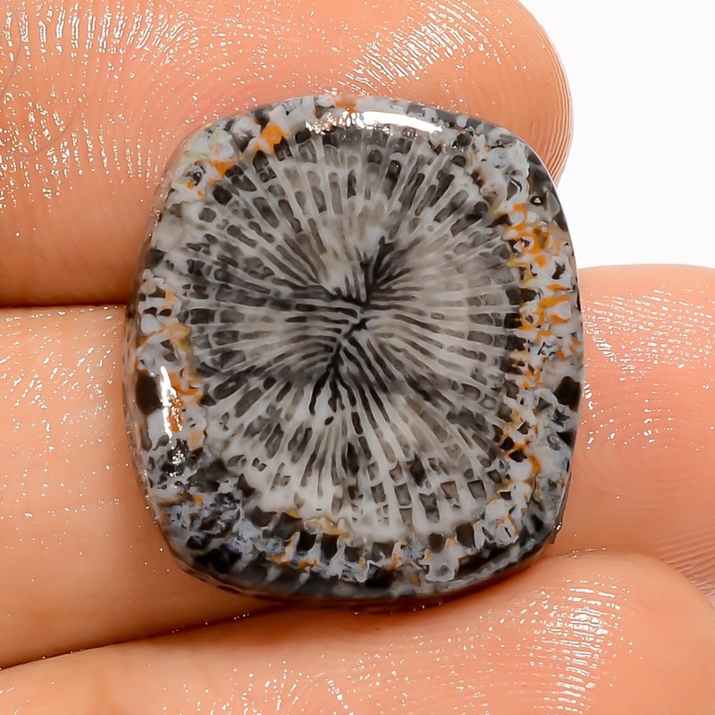 Natural Stingray Coral Loose Gemstone Black Radiant Cabochon 16.5 Ct 20X18X4 mm
