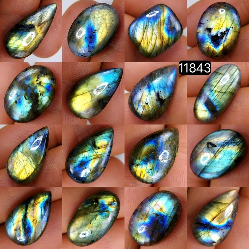 16 Pcs 175 Cts Natural Labradorite Loose Cabochon Gemstone 27X12 17X11 mm #11843