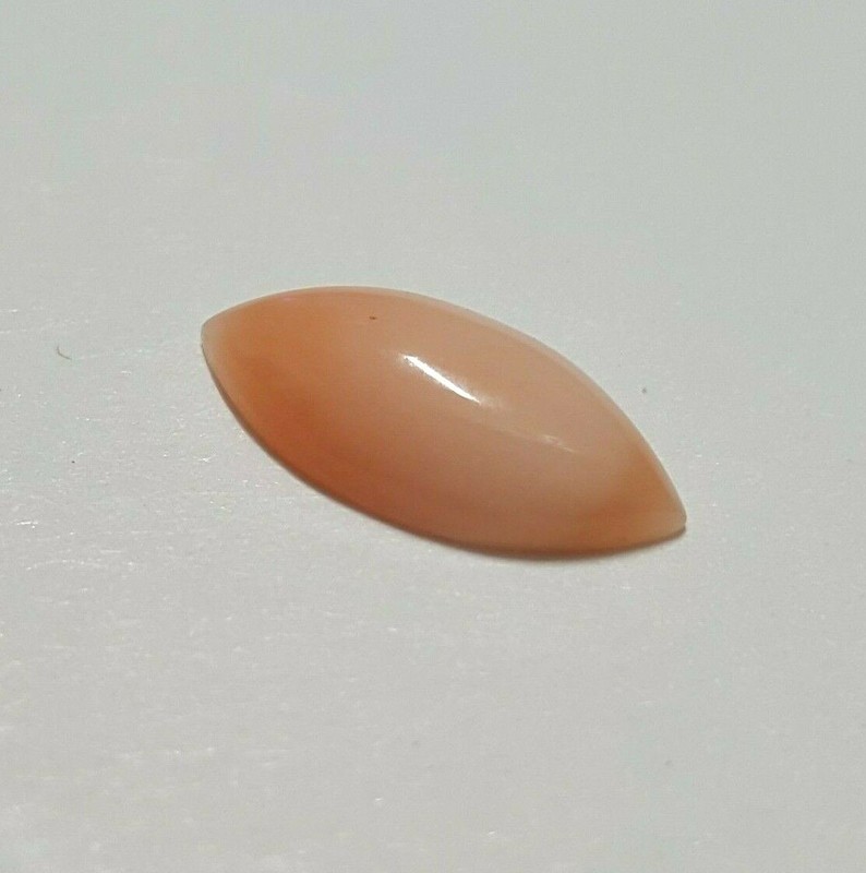 Marquise shaped coral. Marquise shaped 12x6mm cabachon coral gemstone.