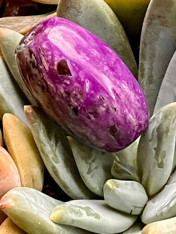 Vintage Sugilite Barrel Bead Huge 67ct. South Africa Drilled 25mm gallery