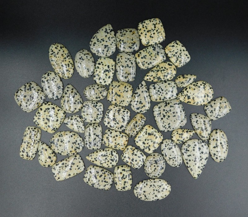 Natural Dolamations Cabs WholesaleLot By Weight With Different Shapes 71915