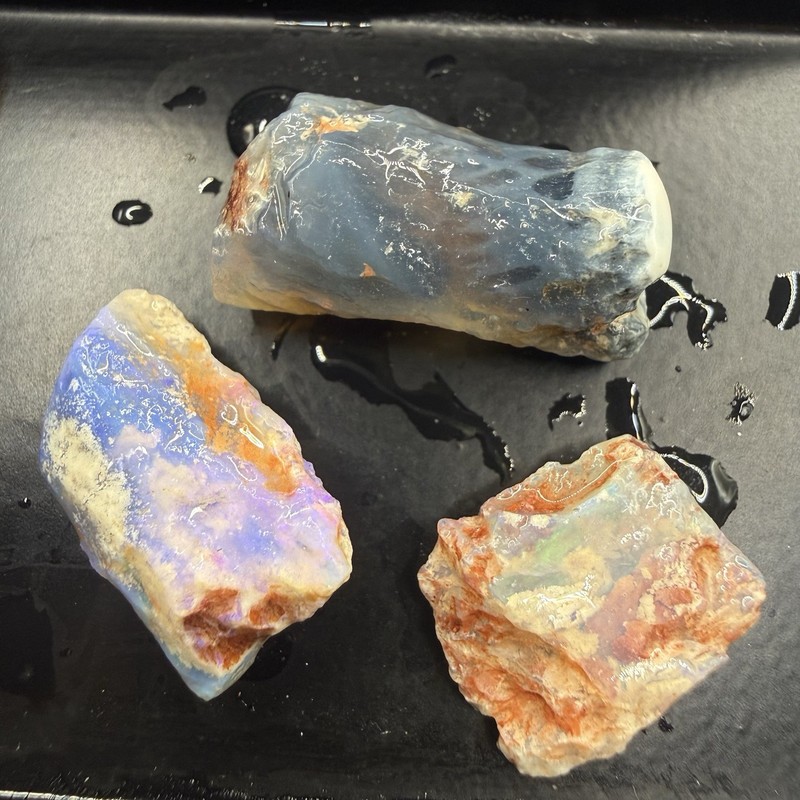 24.1 ct Lightning Ridge Assorted Opalised Fossil – Western Opal