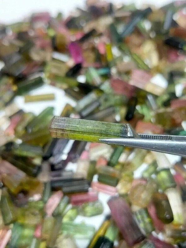 Natural Bi-Color Multicolor 300 Ct Tourmaline Pencil Rough Lot Loose Gemstone A+