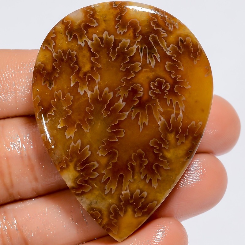 100% Natural Ammonite Pear Shape Cabochon Loose Gemstone 93 Ct. 49X37X7 mm