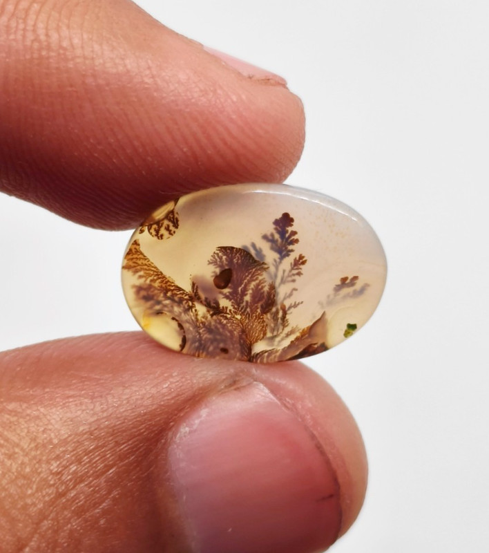 Natural Scenic Dendritie Moss Agate Stone Jewelry Making 3.50ct 15x10x2mm J-772