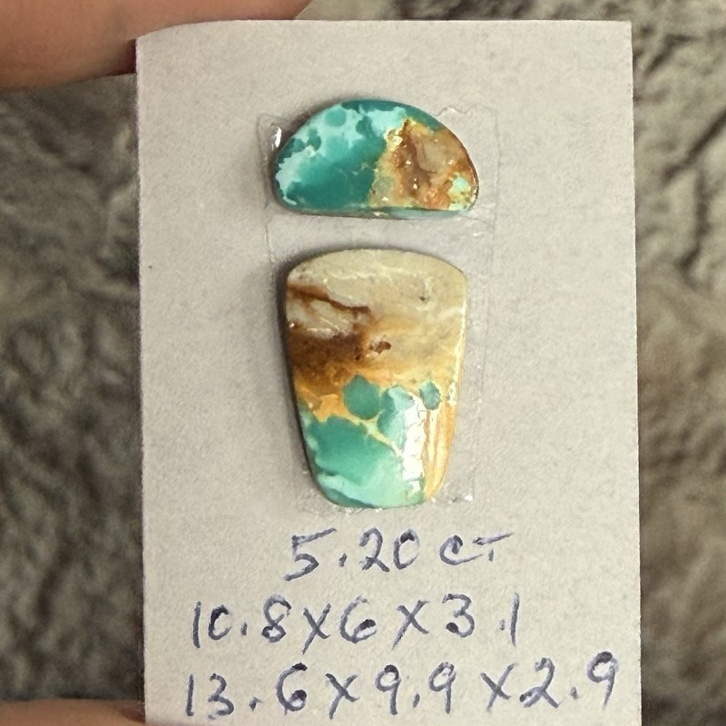 5.20ct 10.8-13.6x3mm 2pc Lot Unique Royston Turquoise Cabochons Mixed Shape