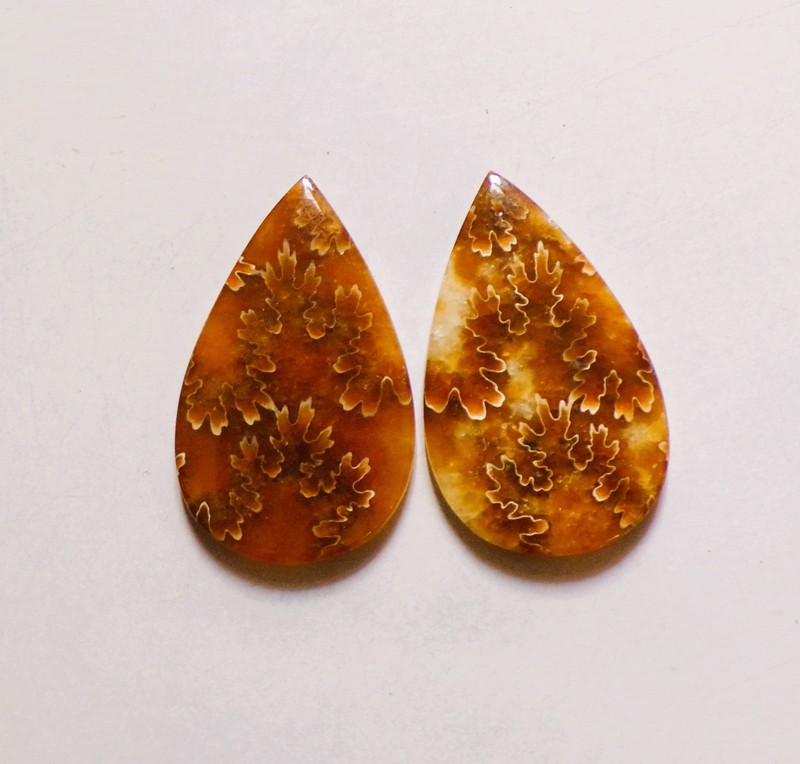 92.65 Cts Natural Ammonite Cabochon Match Pair Gemstone 44X27MM 21