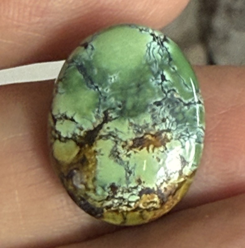 14.10ct 18.7c14.7x6.5mm Green Qingu Mine Turquoise Oval Cabochon Backed Stone gallery