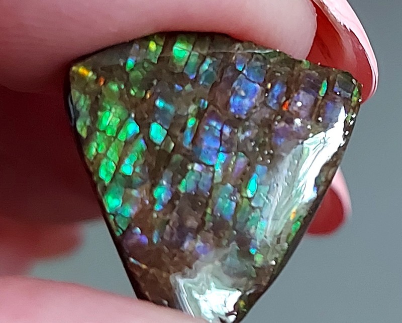 Ammolite Ammonite Coated Stone 27x24x3mm3955