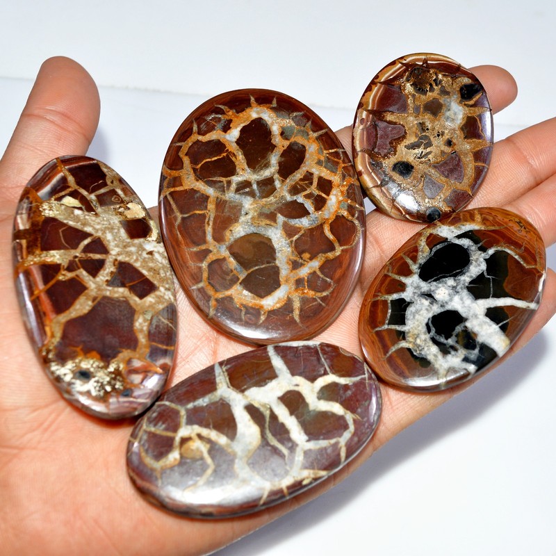 5 Pcs 650 Cts Natural Septarian Cabochon Loose Gemstone Lot 75×63 50x39mm #3624