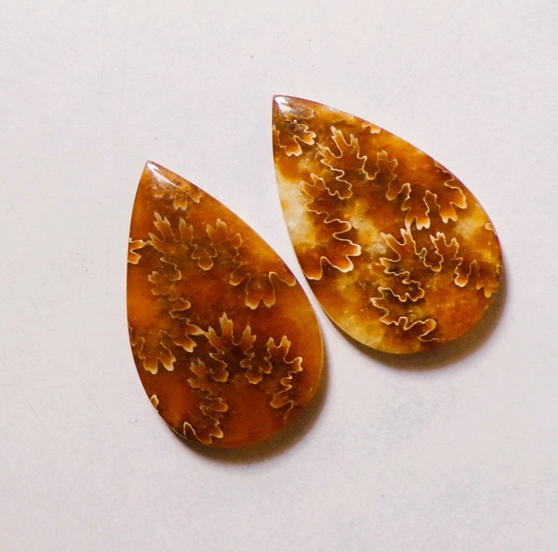 92.65 Cts Natural Ammonite Cabochon Match Pair Gemstone 44X27MM 21 gallery