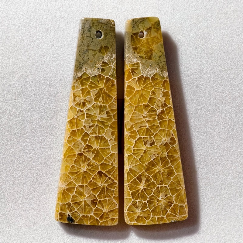 50 Cts Natural Fossilized Coral Drilled Pair Cabochon Gemstone 43.9×13.6 MM