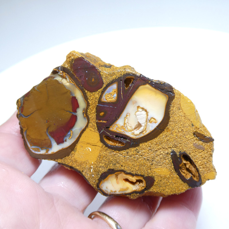 SUPERB 516 CT AUSTRALIAN BOULDER OPAL Rough Unpolished Specimen Video RAW gallery