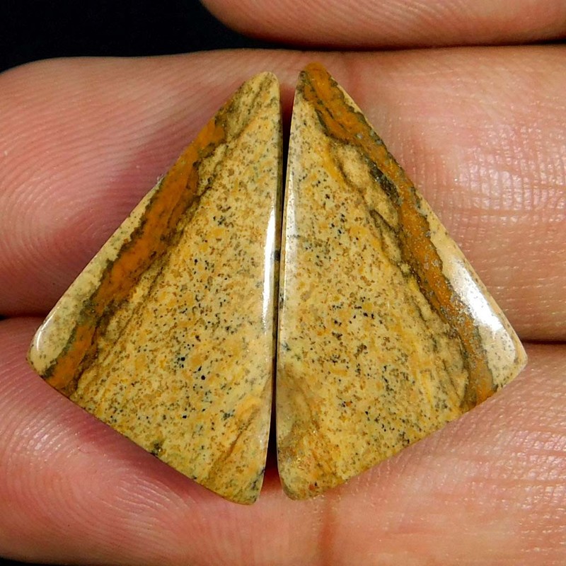 20.00Cts. Natural Rare Picture Jasper Pair Fancy Cabochon Reiki Healing Gemstone