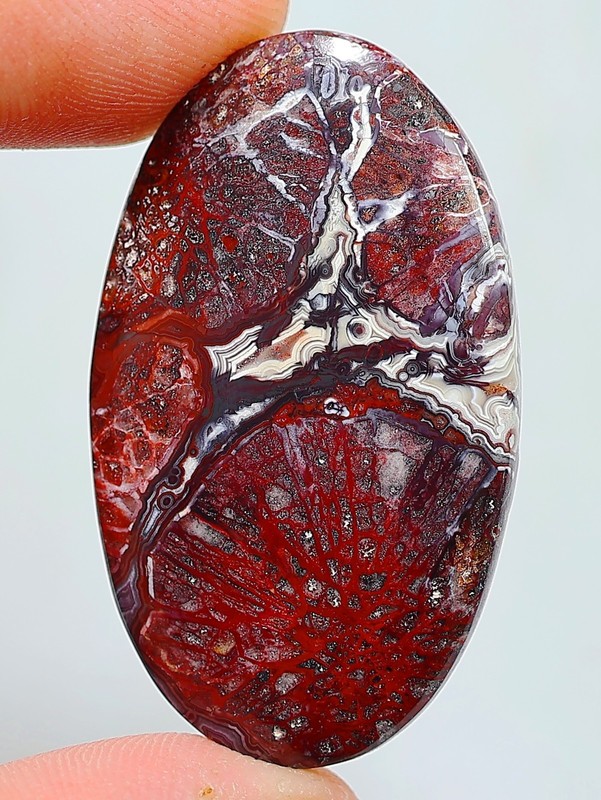 51 Ct 5X25X43 mm Natural Crazy Lace Agate Oval Cabochon Gemstone HH-132