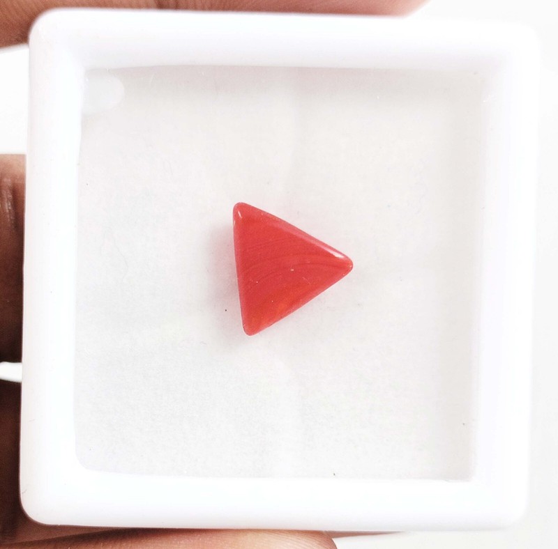 A One Piece 2-3Ct Red Coral Certified Italy Opaque Loose Gemstone 24N gallery
