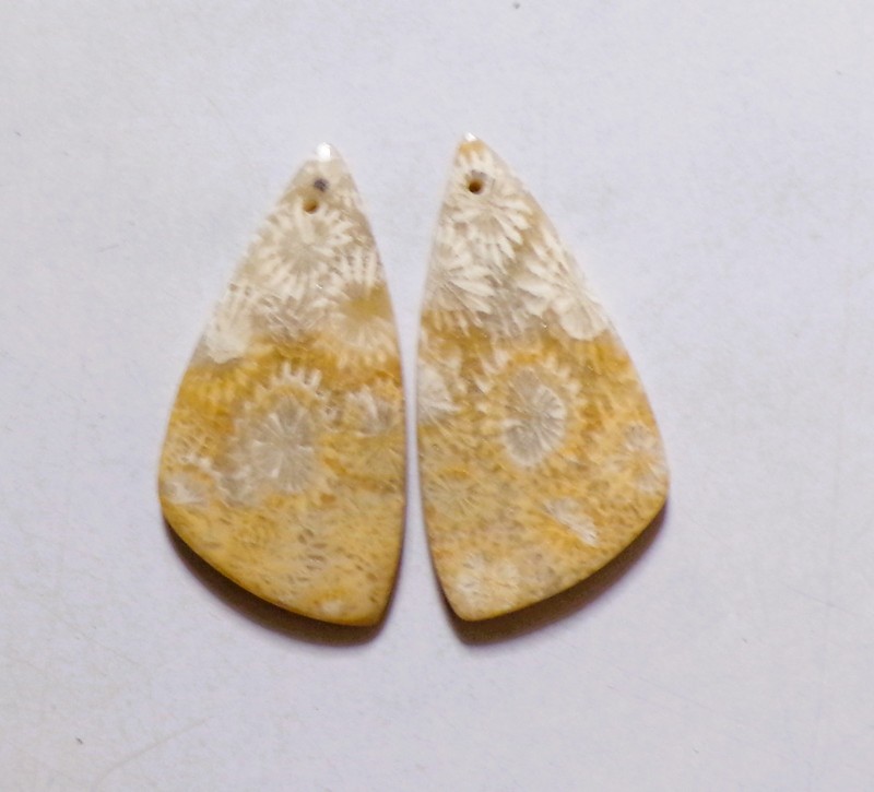 40.35 Cts Natural Fossil Coral Drilled Cabochon Match Pair Gemstone 38X19MM 86