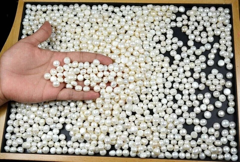 1000 Ct./ Australian White Pearl Loose Gemstone Lot Natural Round Cut Certified
