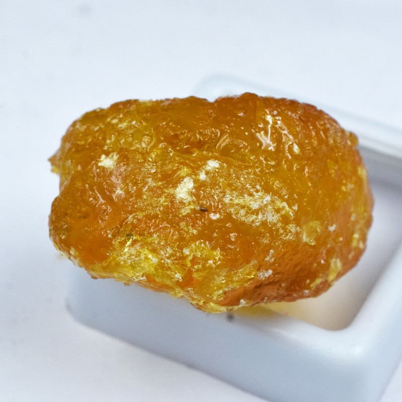 Natural 42 Ct Orange Amber Gemstone Rough Uncut CERTIFIED Raw Loose Gemstone